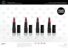 Group Photo 1 - Lipstick/ Kiss Tint/ Corrector Stick 
