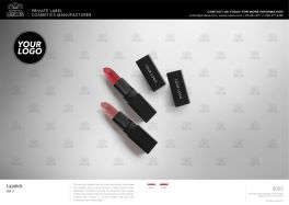 Group Photo 3 - Lipstick/ Kiss Tint/ Corrector Stick