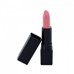Lipstick Standard Packaging - Clever (C)