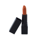 Lipstick Standard Packaging - Fire Red (C)