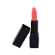 Lipstick Standard Packaging - Spring Rose (C)