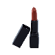 Lipstick Standard Packaging - Ravishing Rose (F