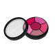 Lipstick Wheel Pink Lady Mattified